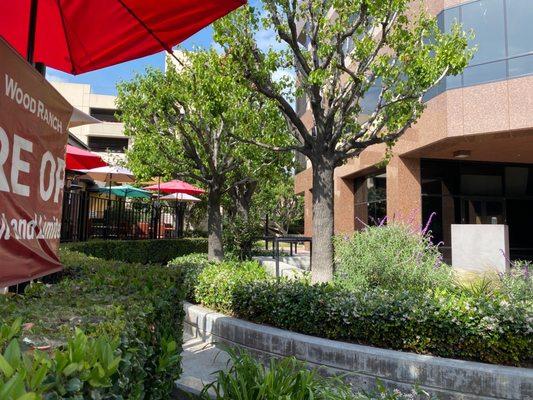 Step Ahead Physical Therapy