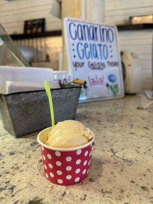 Canarino Gelato
