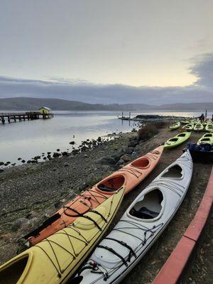 Blue Waters Kayaking