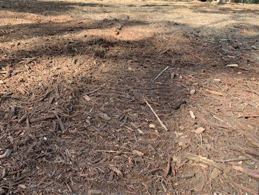 So-Tex Underbrush Solutions