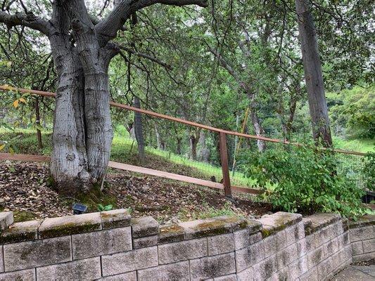 Deer wire with picture frame