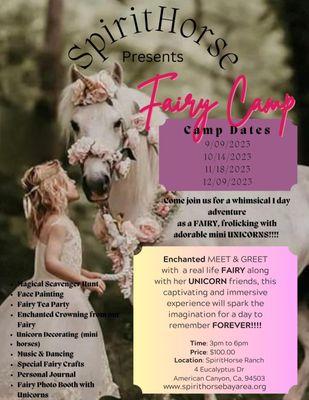 We offer Fairy Camp a few times a year!!! This is a magical experience!!