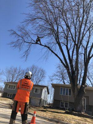 S & S Tree Service