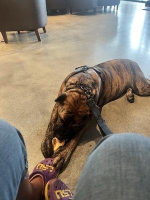 Aficionado's Premium Cigars & Wine