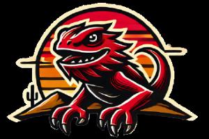 Desert Devil Detailing