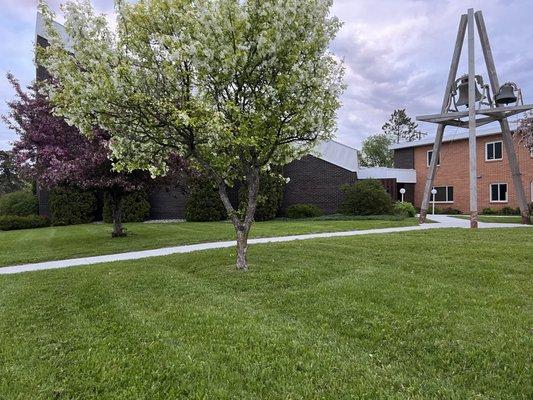 Mission Excavating and Landscape