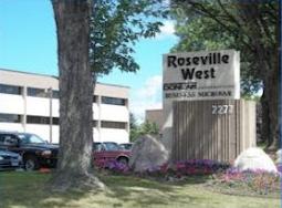 ThinkSEM Consulting, LLC