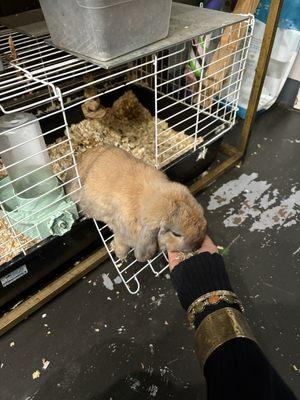 Energy Gardens Terrariums