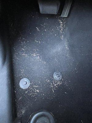 Elite Auto Detailing