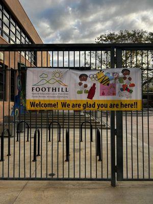 3 feet X 8 feet
BEAUTIFUL