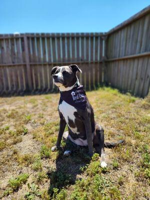 Sara Bianco - ERA Martin Associates