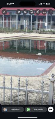 A dirty pool tht was never cleaned and false advertisement on the website