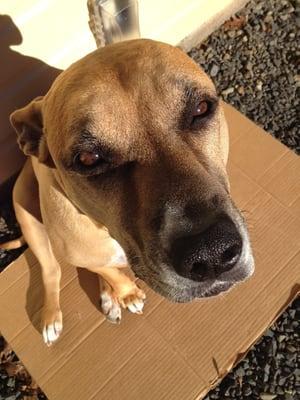 Salem Park Veterinary Clinic