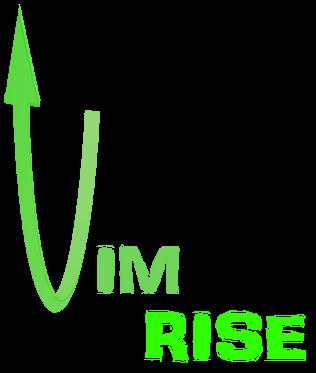 Vim Rise Financial Services LLC