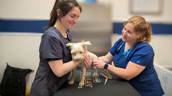 Floyd Harbor Animal Hospital