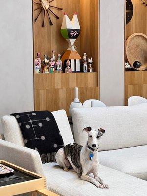 Pearl - making herself at home