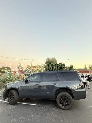 Winter Springs Christmas Trees