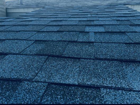 Buona Vista Services