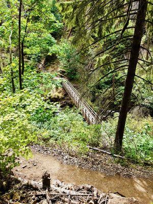 Wahclella Falls Hike