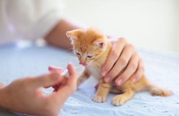 Quail Pointe Veterinary Hospital