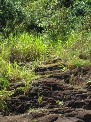 Entrance to Hiking Trail