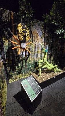 Special exhibit. June 2025