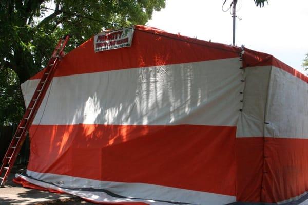 Priority Termite & Pest Solution