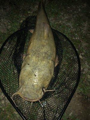 Sherry's Fishg Lake