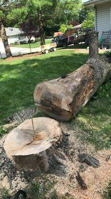 Little Bear Hauling & Demolition