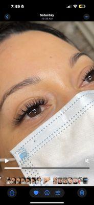 Wet Hybrid Lashes