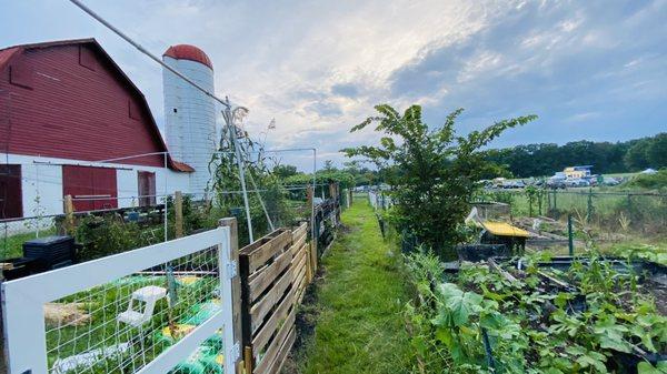 Community Garden Plots