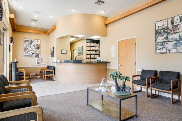 Smile Design Dentistry