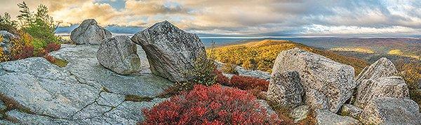 Bear Hill Nature Preserve