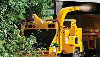 Patriot Tree Experts