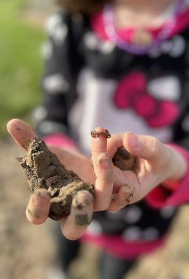 Our 6 year year old loves digging for worms and collecting things like rocks, pinecones & dandelions!