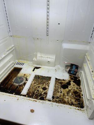 limpieza de refrigerador