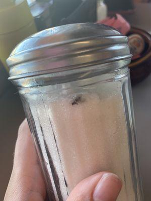 Dead fly in complementary sugar jar that is placed on each table