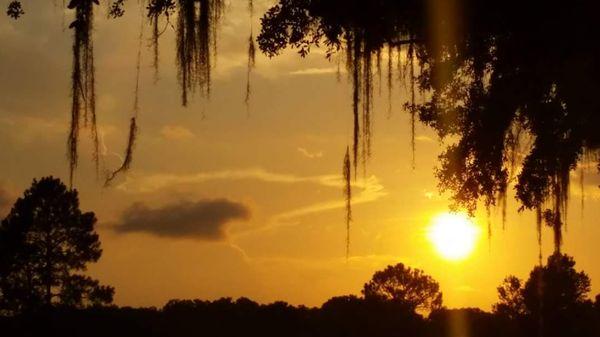 Gainesville Country Club