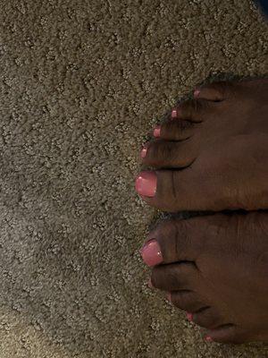 Live in Color Studio