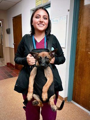 Raleigh Bartlett Animal Hospital