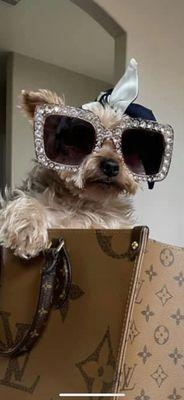 All About Pets Animal Hospital