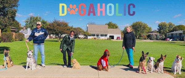 Precision K9 Training