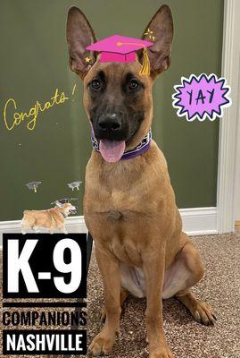 Kenzie graduated from on-leash training!