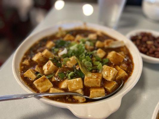 Mapo Tofu (麻婆豆腐)