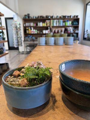 The Potting Shed By Carlisle