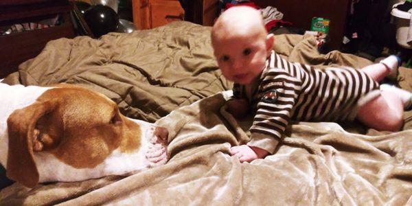 This is my dog they kilked he was so good with my grandkids. I miss him so much