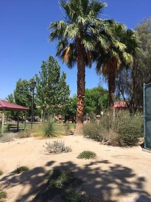 George S Patton Park