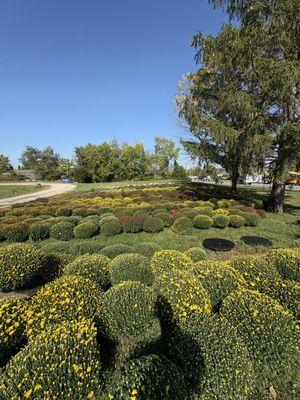 Green Thumb Solutions