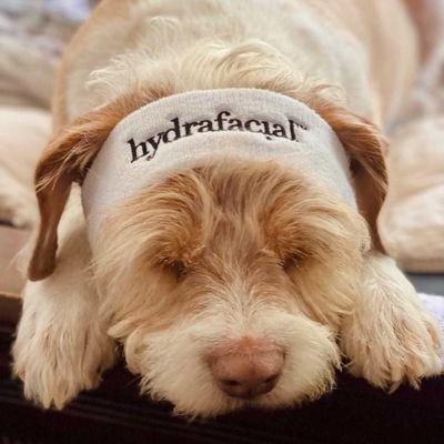 Katie The Facial Lady