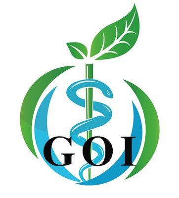 Steven A Vasilev, MD - Gynecologic Oncology Institute